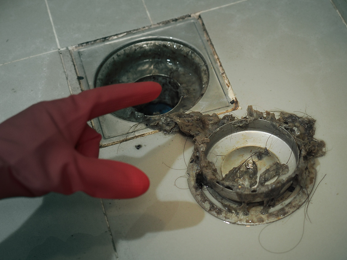 drain cleaning